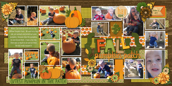 pumpkin patch