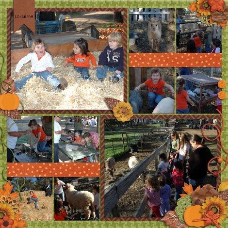 Pumpkin Patch