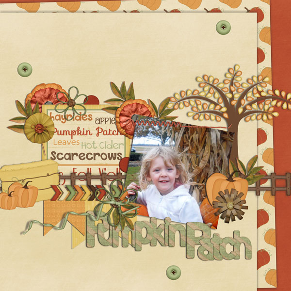 pumpkin patch