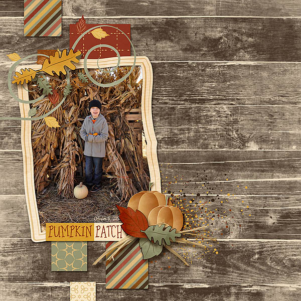 Pumpkin Patch