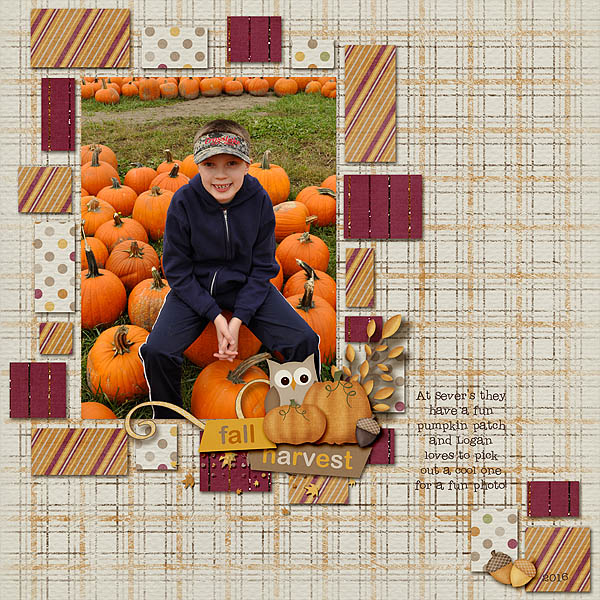 Pumpkin Patch