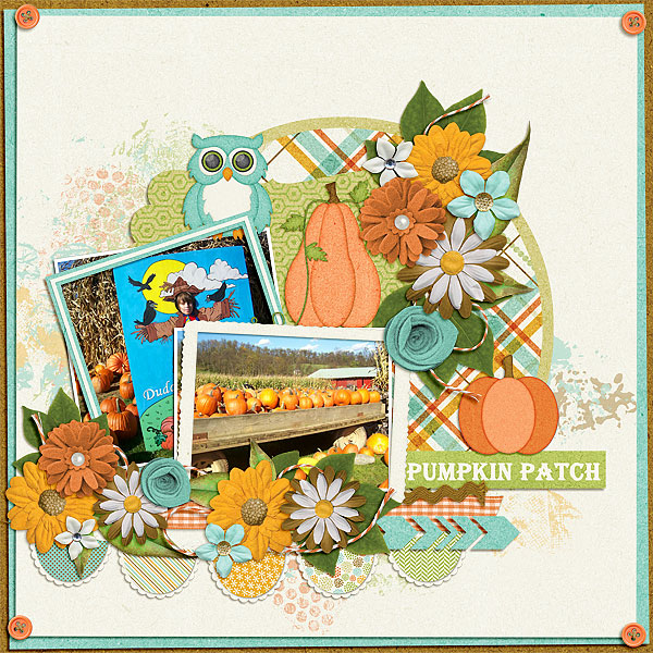 Pumpkin Patch