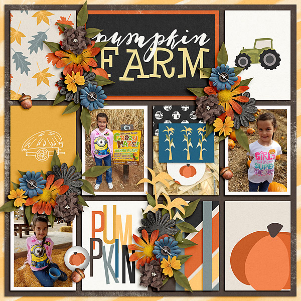 Pumpkin Patch