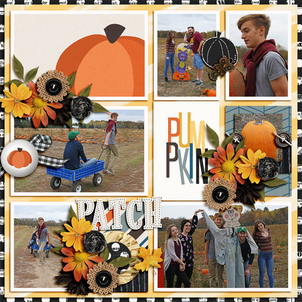 Pumpkin Patch