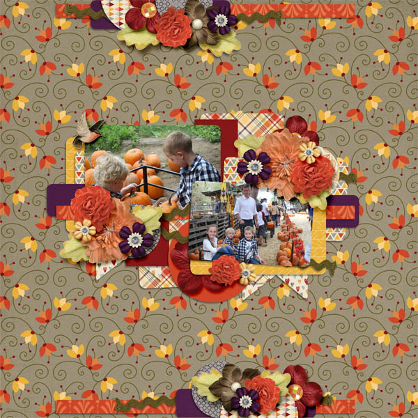 Pumpkin Patch