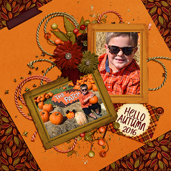 Pumpkin Patch