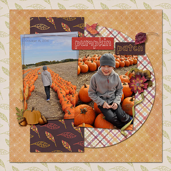 Pumpkin Patch