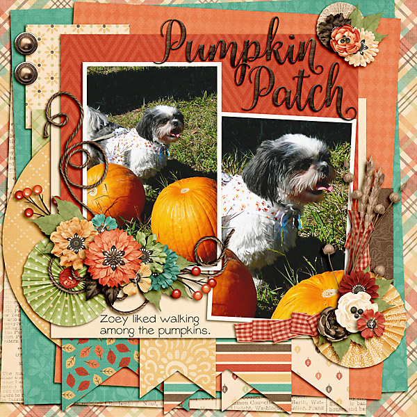 Pumpkin Patch