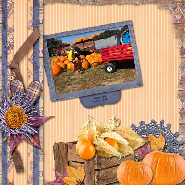 Pumpkin Patch