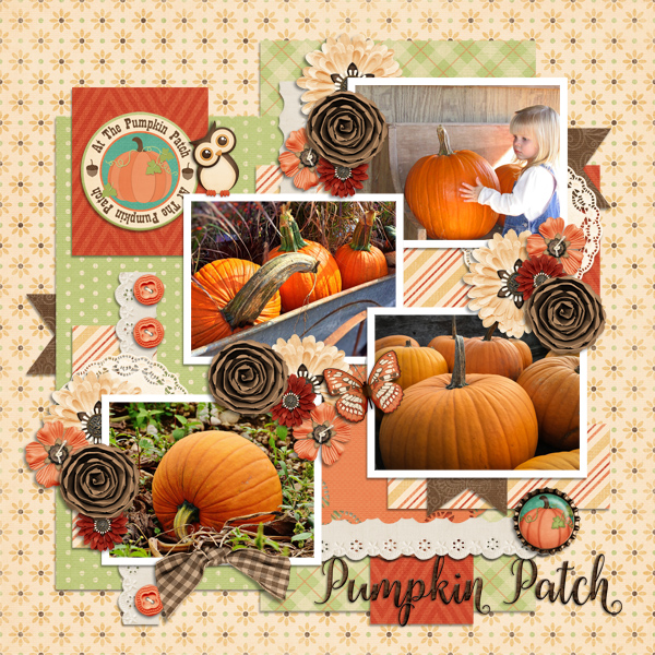 Pumpkin Patch