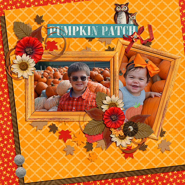 Pumpkin Patch