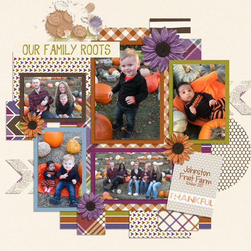 Pumpkin Patch