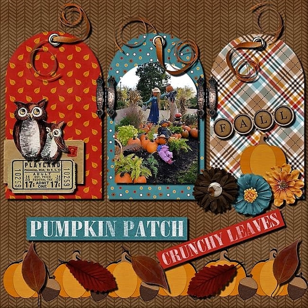Pumpkin Patch