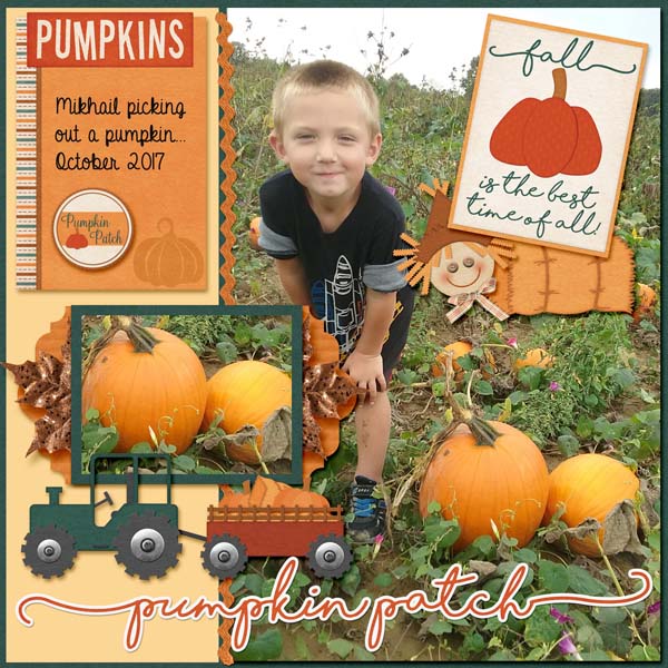 Pumpkin patch