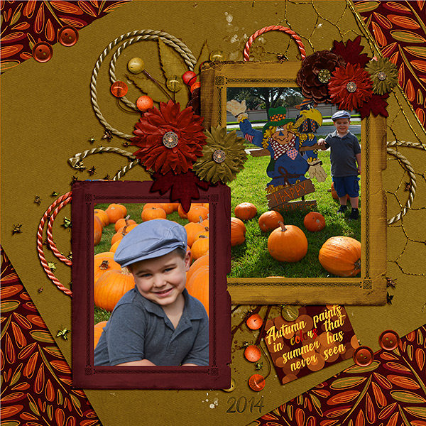 Pumpkin Patch