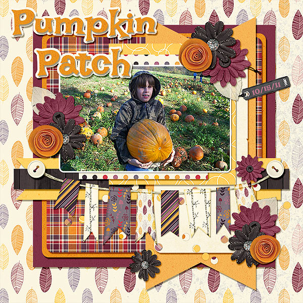 Pumpkin Patch