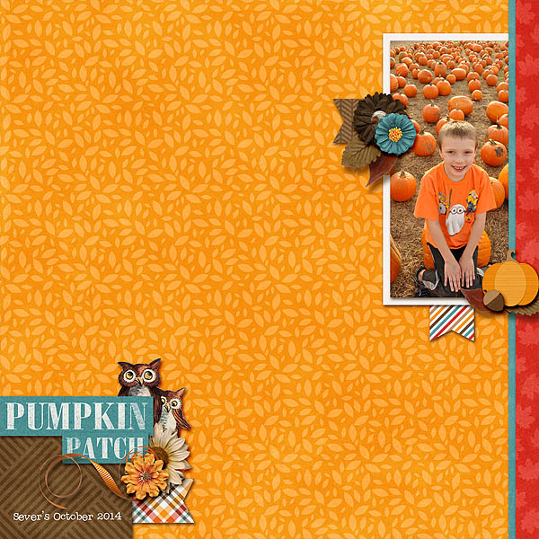 Pumpkin Patch