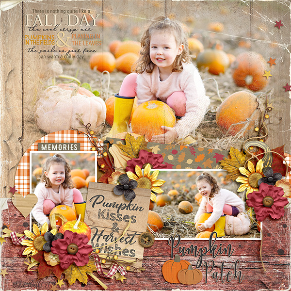 Pumpkin Patch