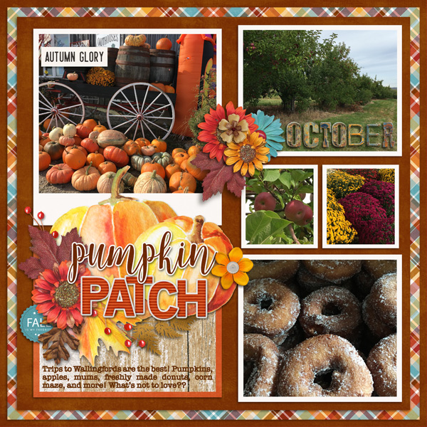 Pumpkin Patch