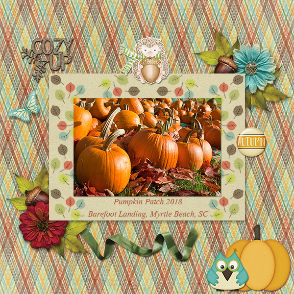Pumpkin Patch