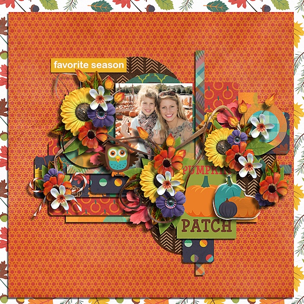 Pumpkin Patch