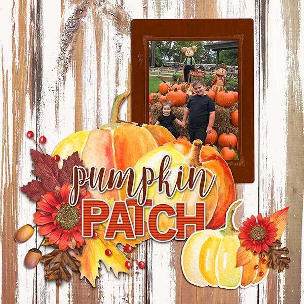 Pumpkin Patch