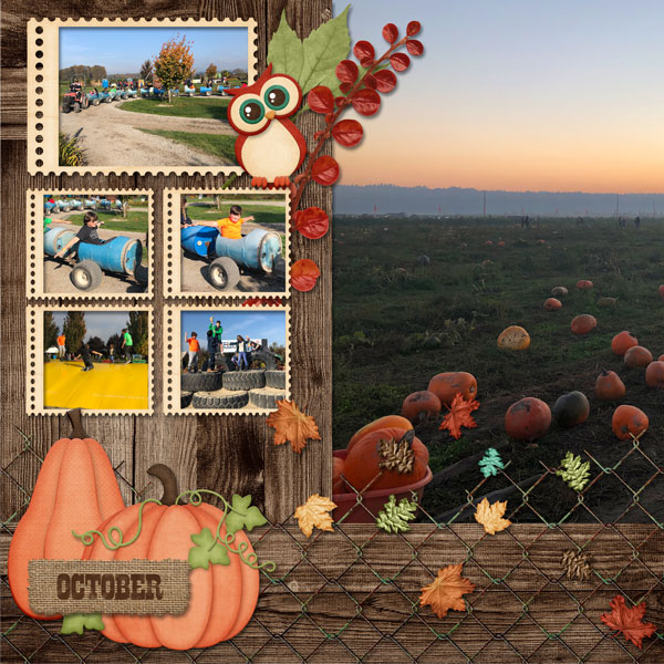 Pumpkin Patch