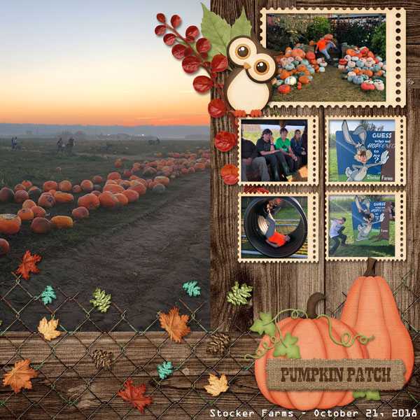 Pumpkin Patch
