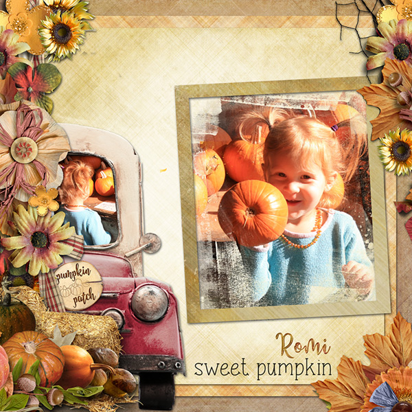 Pumpkin Patch