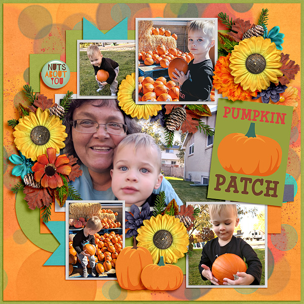 Pumpkin Patch
