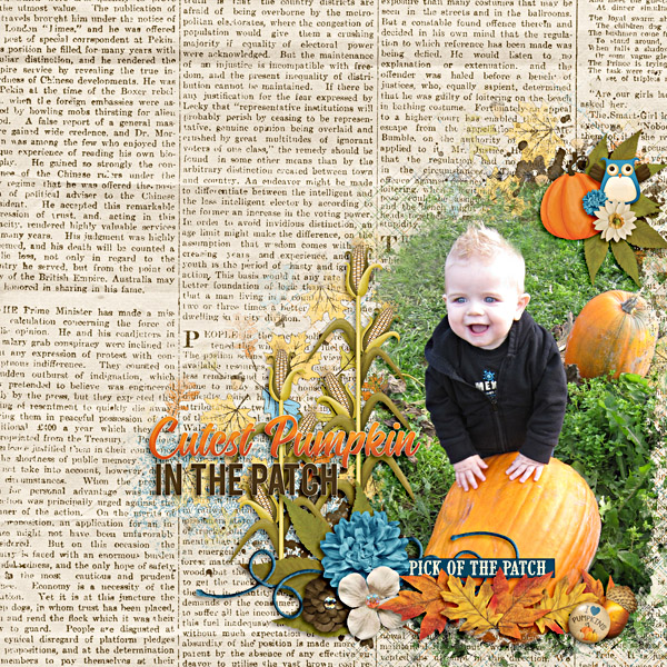 Pumpkin Patch