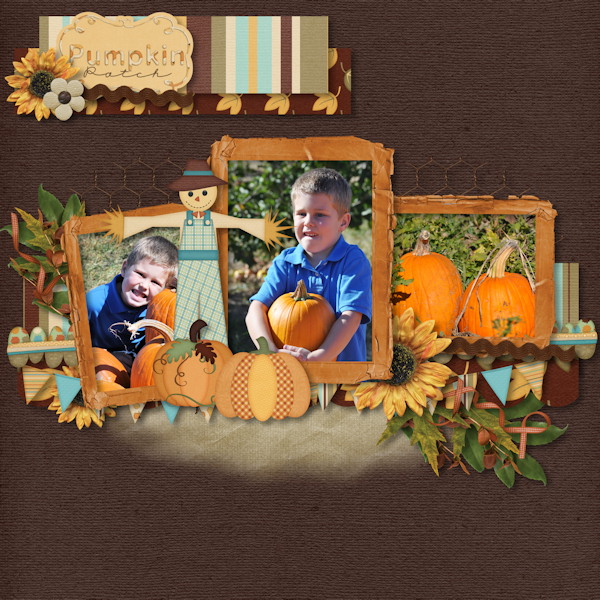Pumpkin Patch