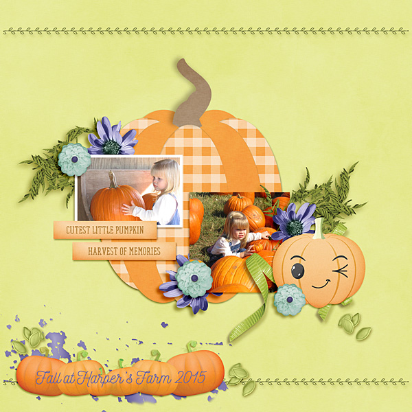 Pumpkin Patch