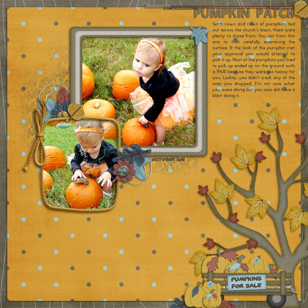 Pumpkin Patch