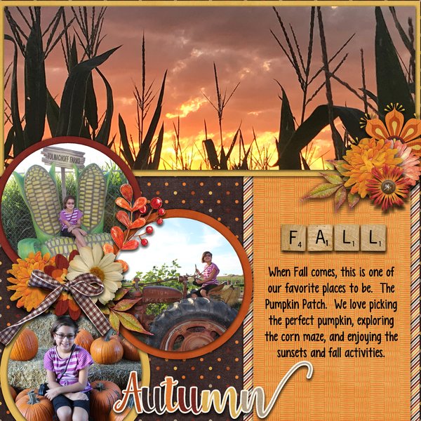 Pumpkin Patch