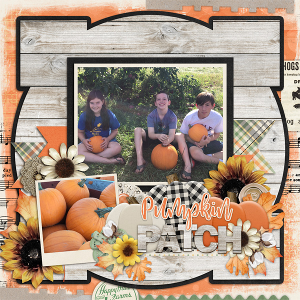 Pumpkin Patch