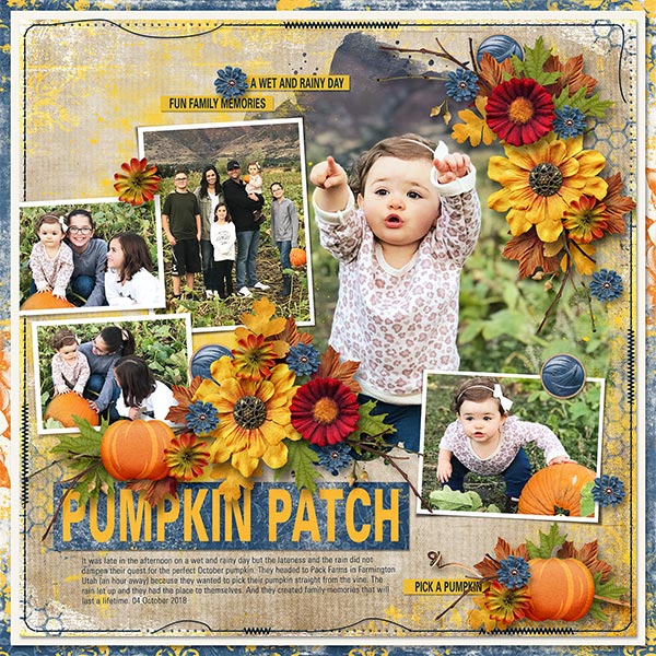 PUMPKIN PATCH