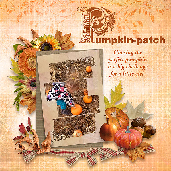Pumpkin Patch