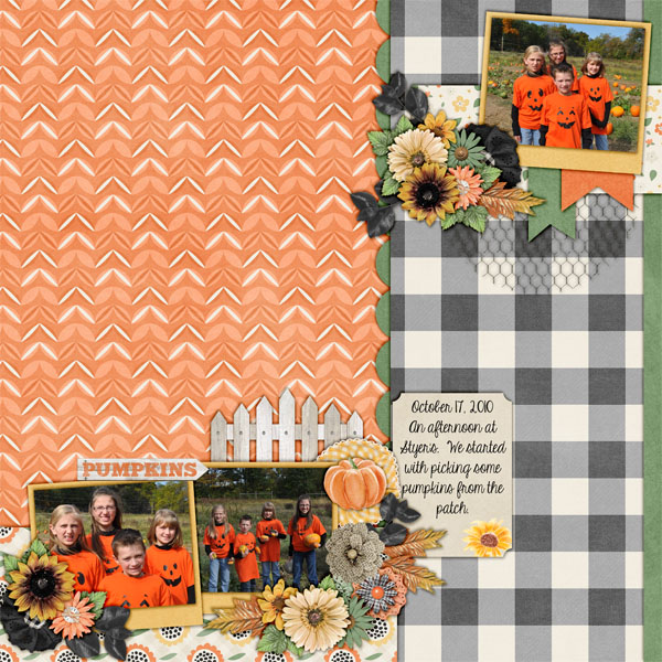 pumpkin patch