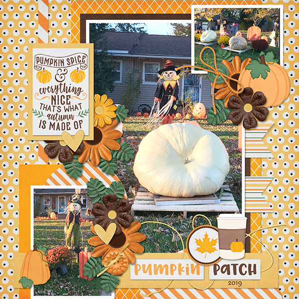 Pumpkin Patch