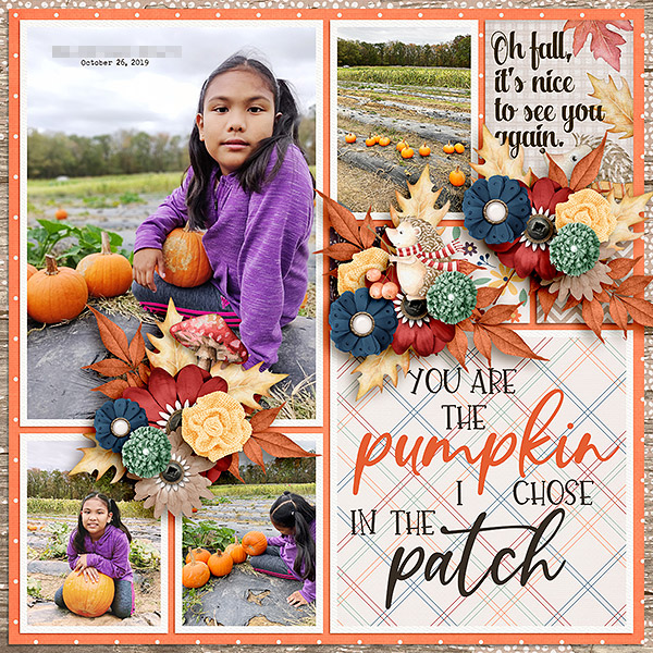 Pumpkin Patch