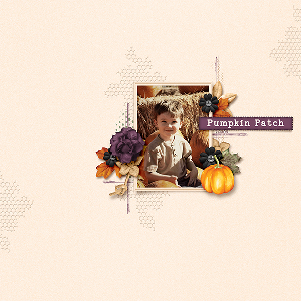 Pumpkin Patch