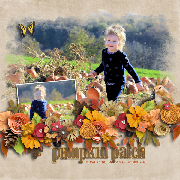 Pumpkin Patch