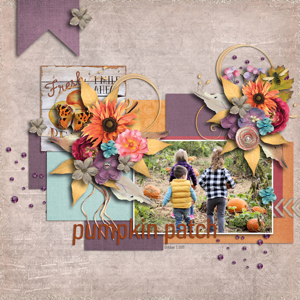 Pumpkin Patch