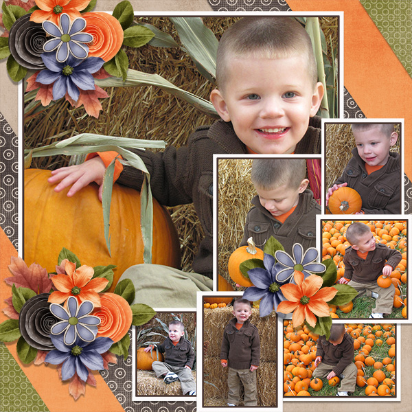 Pumpkin Patch