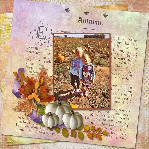 Pumpkin Patch