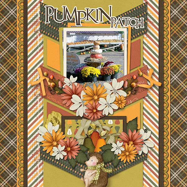 Pumpkin Patch