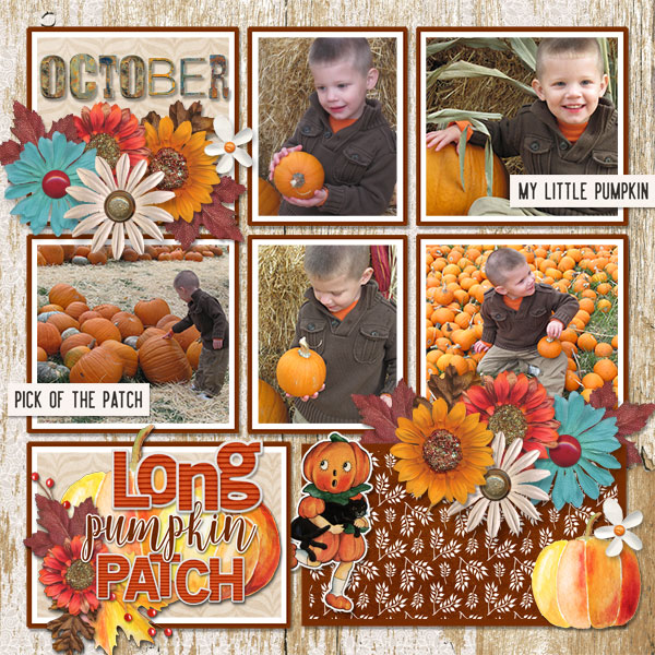 Pumpkin Patch