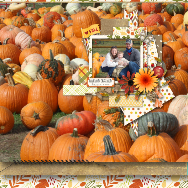 Pumpkin Patch
