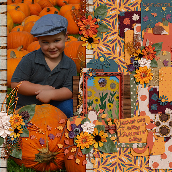 Pumpkin Patch